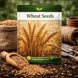 Wheat Seeds