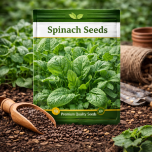 Spinach Seeds