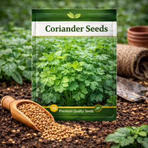Coriander Seeds