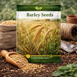 Barley Seeds
