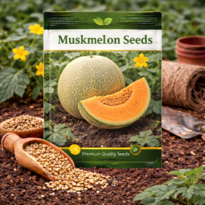 Muskmelon Seeds